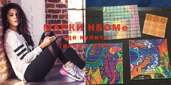 стаф Богданович