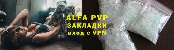 стаф Богданович