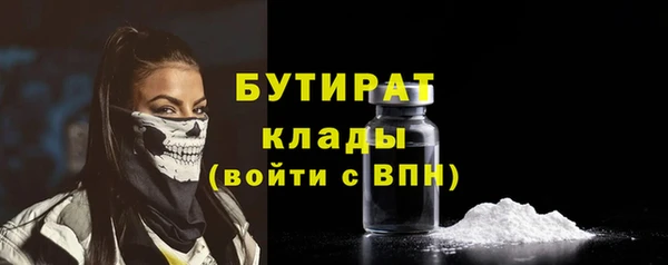 хмурый Верея