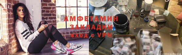 стаф Богданович